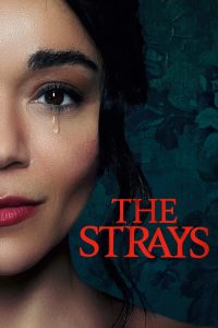 The Strays (Los extraños)