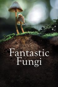 Fantastic Fungi (Hongos fantásticos)