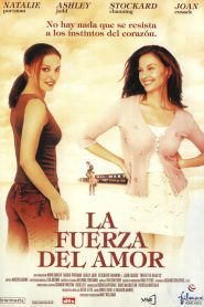 La fuerza del amor (2000)