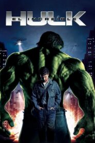 Hulk: El hombre increíble (2008)