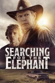 Searching for the Elephant (2024)