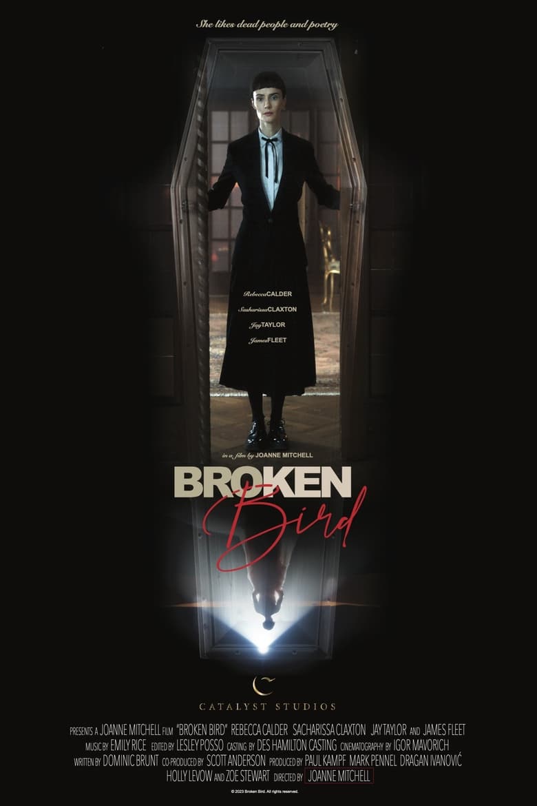 Broken Bird (2024)