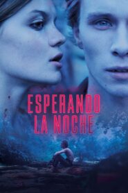 Esperando la noche (2023)