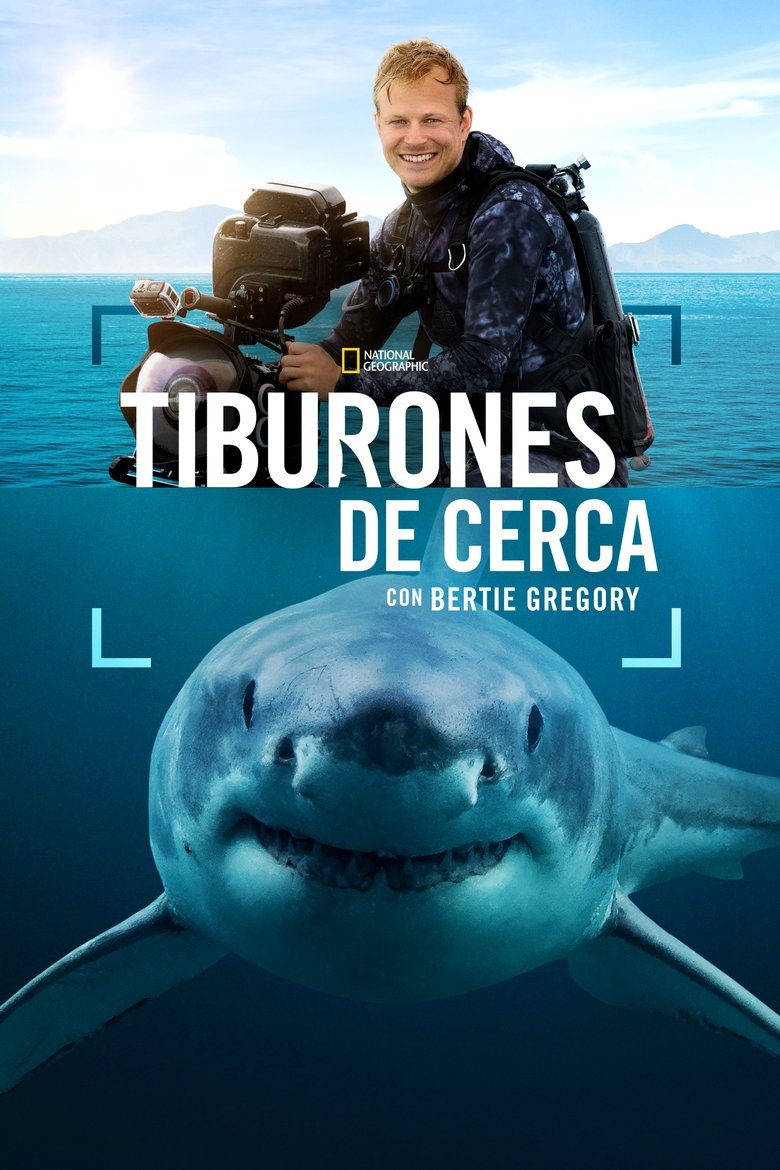 Tiburones de cerca con Bertie Gregory (2025)