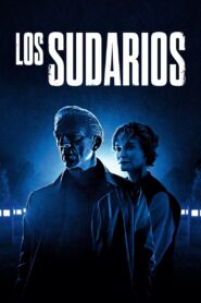 The Shrouds (2024)