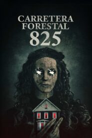 825 Forest Road (2025)