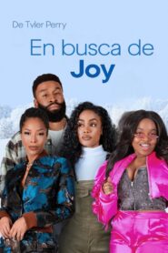 En busca de Joy (2025)