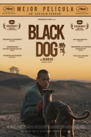 Black Dog (2024)