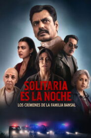 Solitaria es la noche: Los crímenes de la familia Bansal (2025)