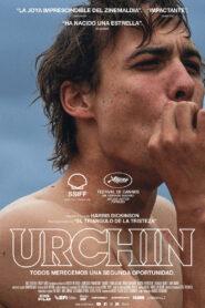 Urchin (2025)