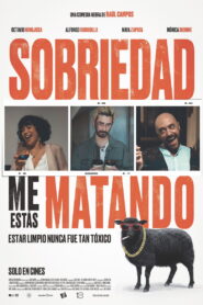 Sobriedad, Me Estás Matando (2025)