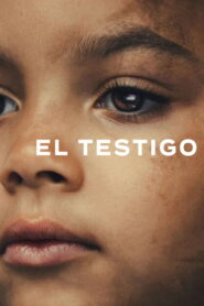 El testigo