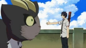 Gato negro